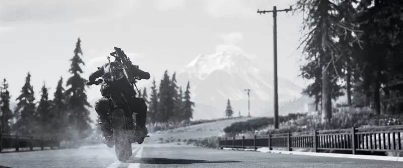 PC游戏《往日不再 Days Gone》中文版下载 v20250722  第8张