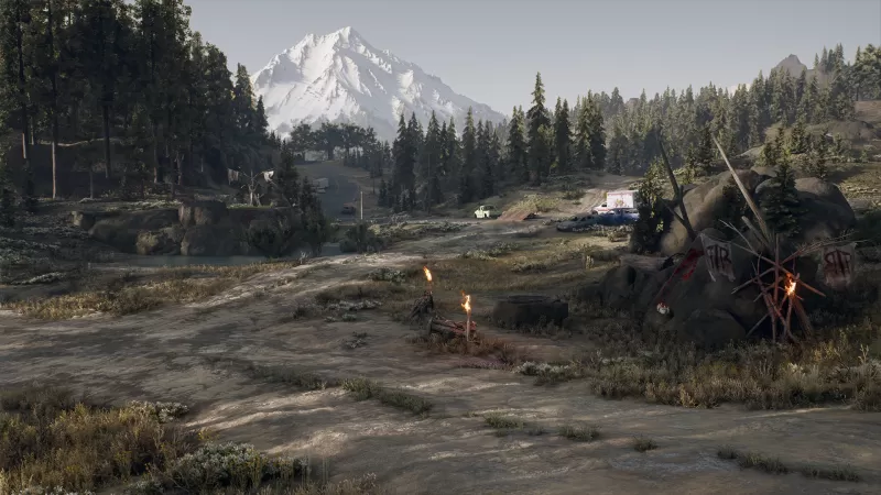 PC游戏《往日不再 Days Gone》中文版下载 v20250722  第10张