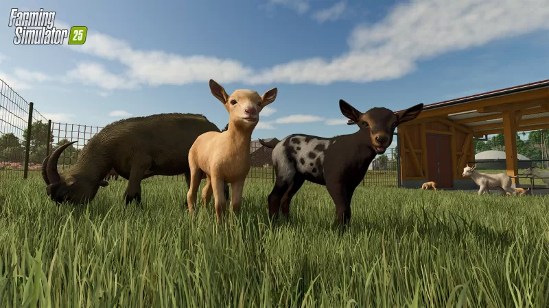 PC游戏《模拟农场25 Farming Simulator 25》中文版下载 v1.10.0.0 - switch520