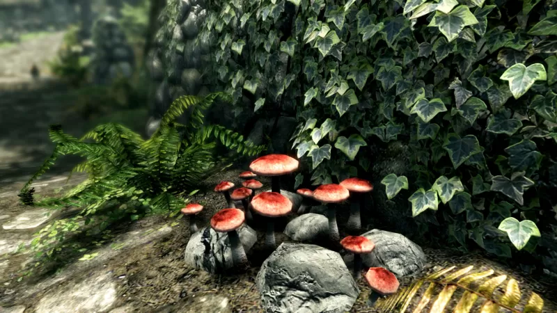 PC游戏《上古卷轴5：周年纪念版 上古卷轴5：天际10周年重制版 The Elder Scrolls V: Skyrim Special Edition》中文版下载 v1.6.1170.0.8 - switch520