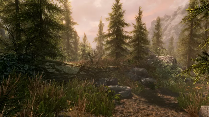 PC游戏《上古卷轴5：周年纪念版 上古卷轴5：天际10周年重制版 The Elder Scrolls V: Skyrim Special Edition》中文版下载 v1.6.1170.0.8 - switch520