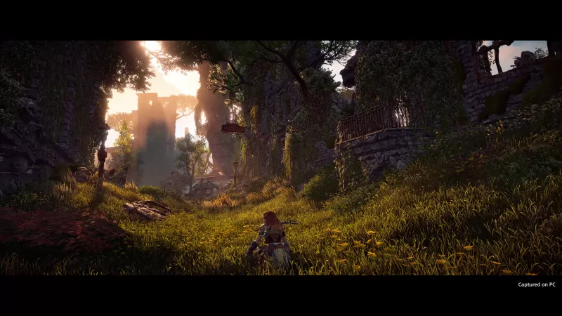 PC游戏《地平线：零之曙光完全版 Horizon Zero Dawn Complete Edition》v1.0.11.14完全版  第5张