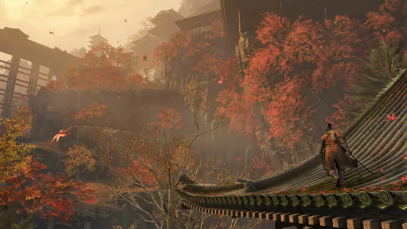 PC游戏《只狼：影逝二度 Sekiro: Shadows Die Twice》中文版下载 v1.06