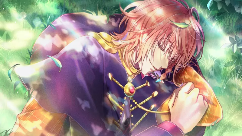 switch游戏《米斯托尼亚的翅望 Mistonia’s Hope -The Lost Delight》英文美版xci下载 v1.0.0 - switch520