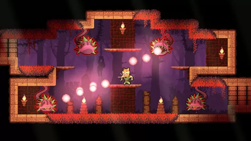 switch游戏《护林猿神 Dunjungle》中文美版xci下载 v0.99 - switch520