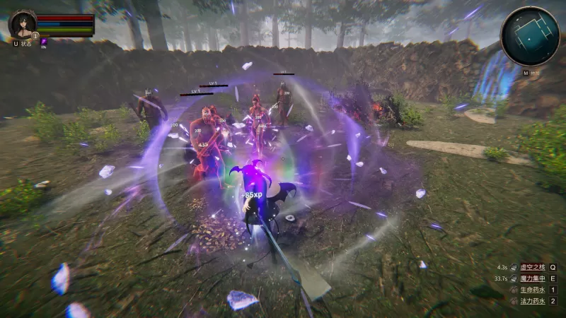 虚幻之地/Realm of Illusion - switch520