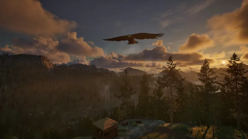 护林员之路：国家公园模拟器/Ranger’s Path: National Park Simulator  第2张