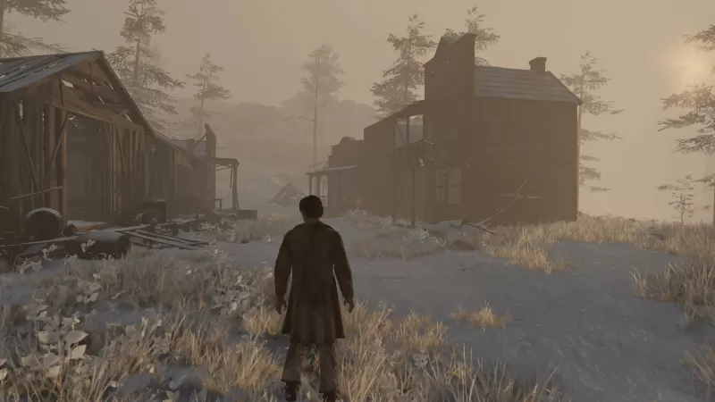 狂野西部时代/Wild West Dynasty - switch520