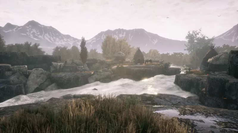 [兰古纳的枯树].The Dead Tree of Ranchiuna中文  第3张