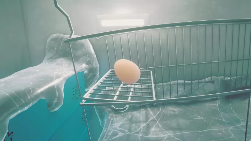 鸡蛋历险记/Egging On-switch游戏下载社区