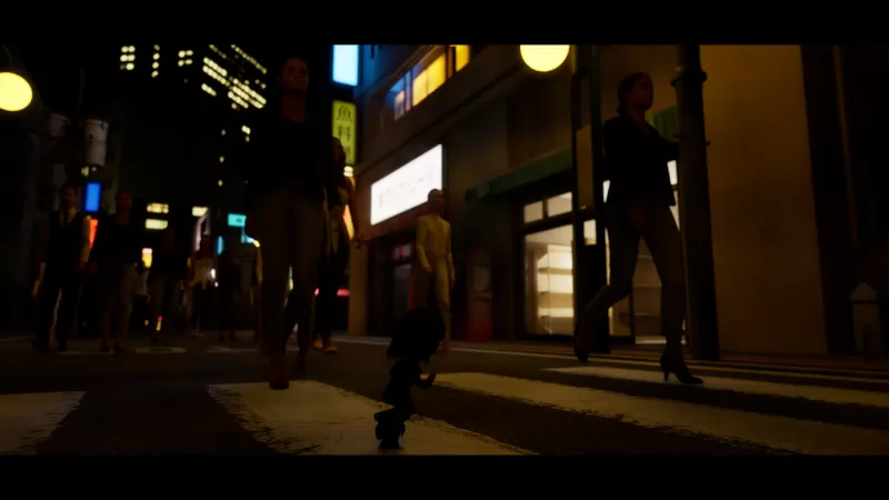 人偶回来了/Doll is Back  第3张